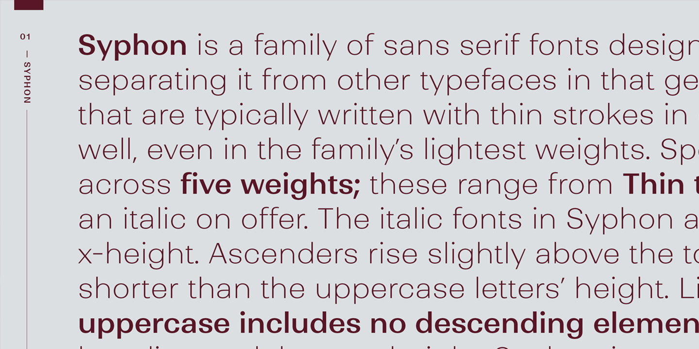 Syphon Italic Font preview